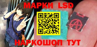 стаф Бийск