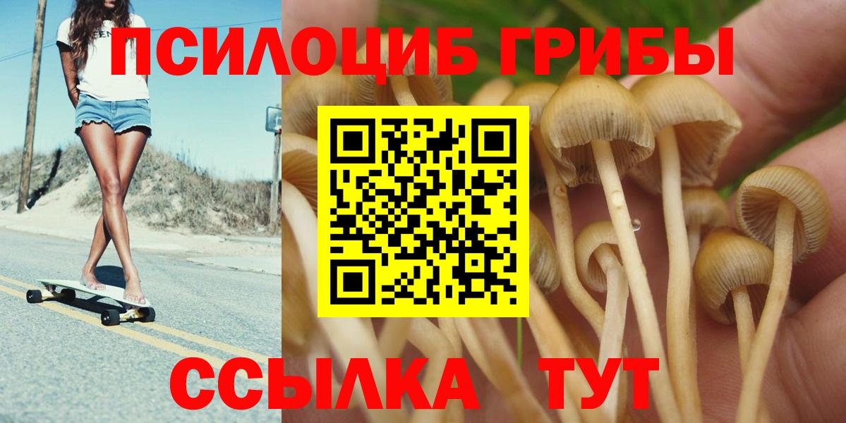 Псилоцибиновые грибы Psilocybe  Вход с VPN  Ирбит  Галлюциногенные грибы Psilocybe 