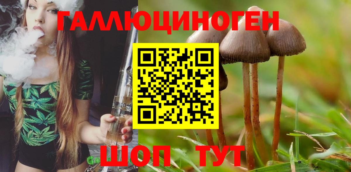 Галлюциногенные грибы прущие грибы Ирбит
